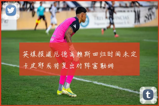 英媒报道厄德高赖斯回归时间未定卡皮耶或将复出对阵富勒姆