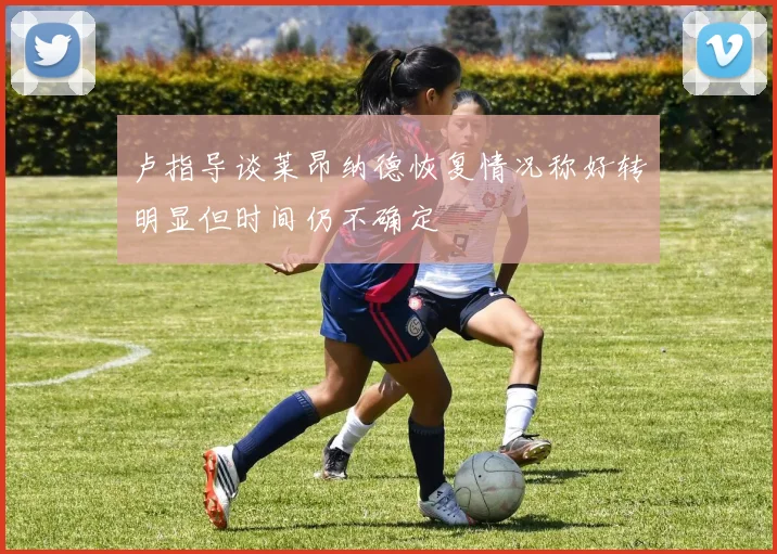 卢指导谈莱昂纳德恢复情况称好转明显但时间仍不确定